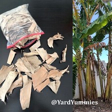 Dried Banana Leaf Leaves 3oz for Tea or Pet Supplies Fish Aquarium Reptile