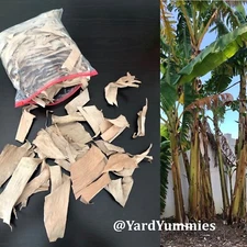 Dried Banana Leaf Leaves 3oz for Tea or Pet Supplies Fish Aquarium Reptile