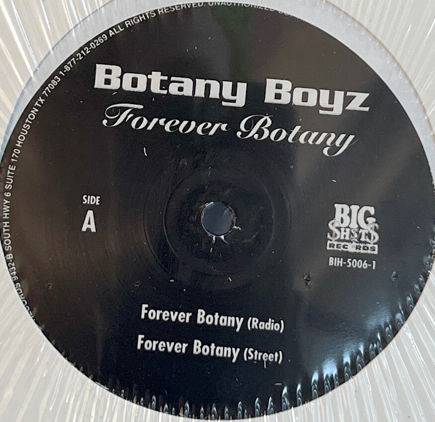 BOTANY BOYS Forever Botany *ORIG 2000* Vinyl Record 12