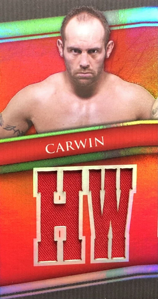 2010 Topps UFC Knockout BOOKLET /36 LESNAR, COUTURE, MIR, CARWIN, NOGUIERA, ++++ - Image 3 of 4