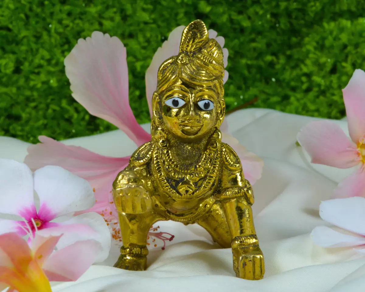 Laddu Gopal Idol/Bal Gopal/Thakur Ji Brass Murti Janamashtami ...