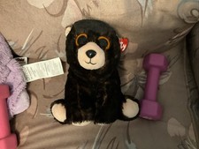 TY Beanie Baby - KODI the Black Bear (6 inch)