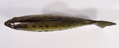 Statua statuina pesce gioco in piedi basso bocca grande 12" dipinta a mano F017B - Foto 4 di 12