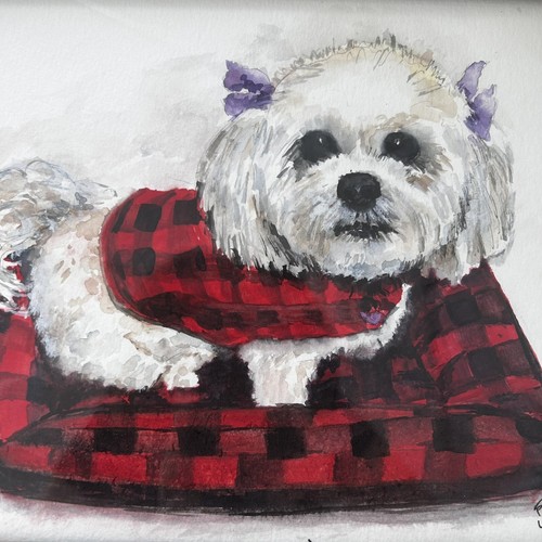Water Color Painting Lhasa Apso Dog Small Signed Scottie Plaid Pillow Framed - Picture 3 of 9