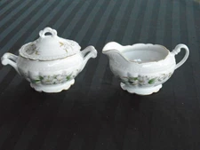 C-1213 Embassy USA Floral Vitrified Creamer and Lidded Sugar Bowl