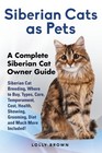 Siberian Cats as Pets: Siberian Cat Breeding, Where to Buy, Types, Care, Tem.