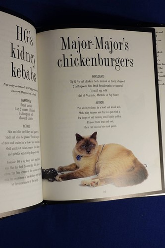 THE KITTY CAFE Marie Toshack HEALTHY HOMEMADE CAT FOOD Pussycat Cookbook Book - Picture 10 of 12