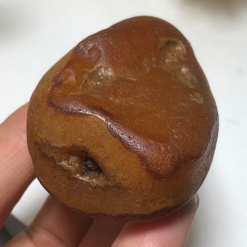 92g Bonsai Suiseki-Natural Gobi Agate Eyes Stone-Rare Stunning Viewing-E5 - Bild 13 von 20