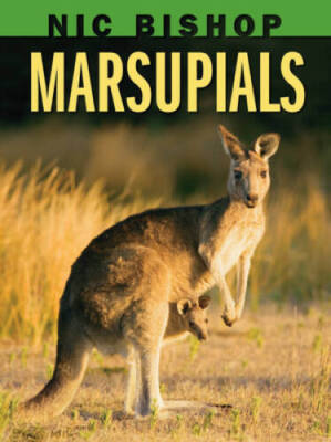 Nic Bishop: Marsupials - Hardcover By Bishop, Nic - GOOD