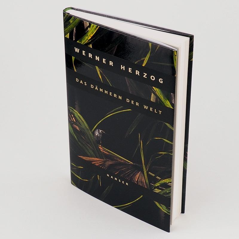 Thumbnail - Das Dämmern Der Welt Werner Herzog