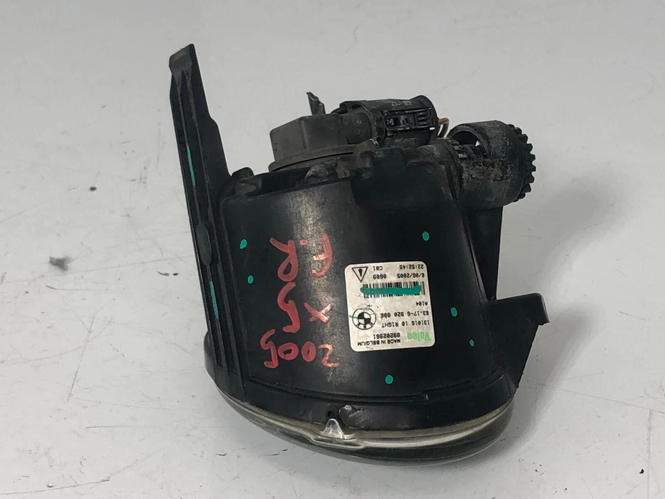 BMW X5 E53 2005 O/S luz antiniebla delantera derecha 6920886 89202961 A480 Foto 3 de 4