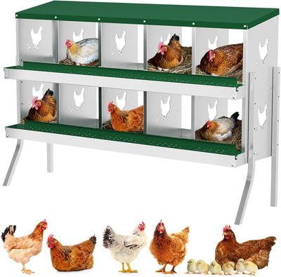 Chicken Nesting Box 10 Compartment Metal Easy Collection & Easy Cleaning W/ Legs