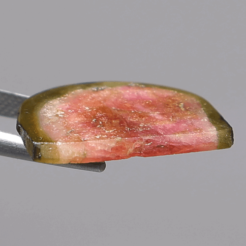 Gemma succosa ~ 8,46 Cts Tormalina naturale di anguria 21,6 mm fetta lucida pietra preziosa - Foto 8 di 11