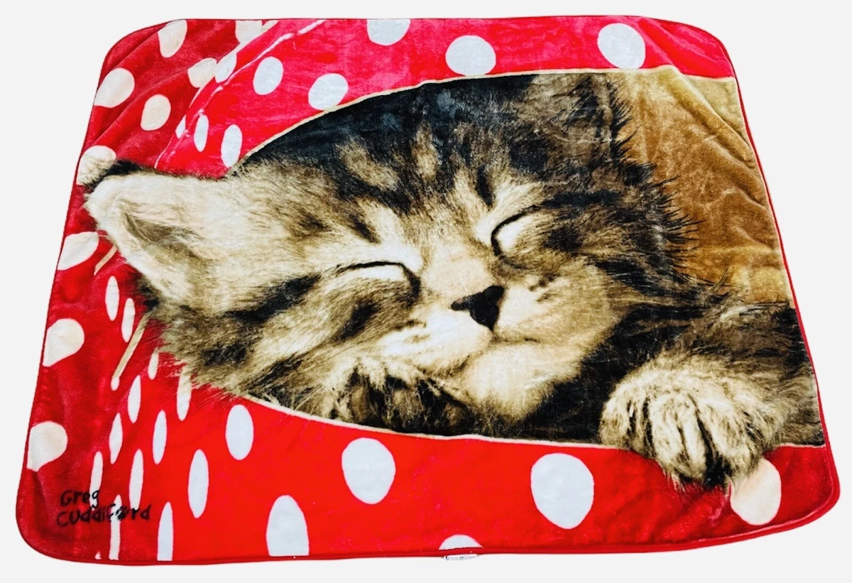 Kitten Polka Dot Blanket Greg Cuddiford Plush Red Northwest 50 x