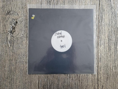 Sinéad O'Connor   Troy (The Phoenix From The Flame) (Rob Searle Remix) Vinyl 12''
