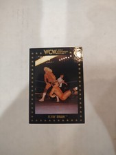 1991 Championship Marketing WCW - #38 Brian Pillman (RC)(PWE)