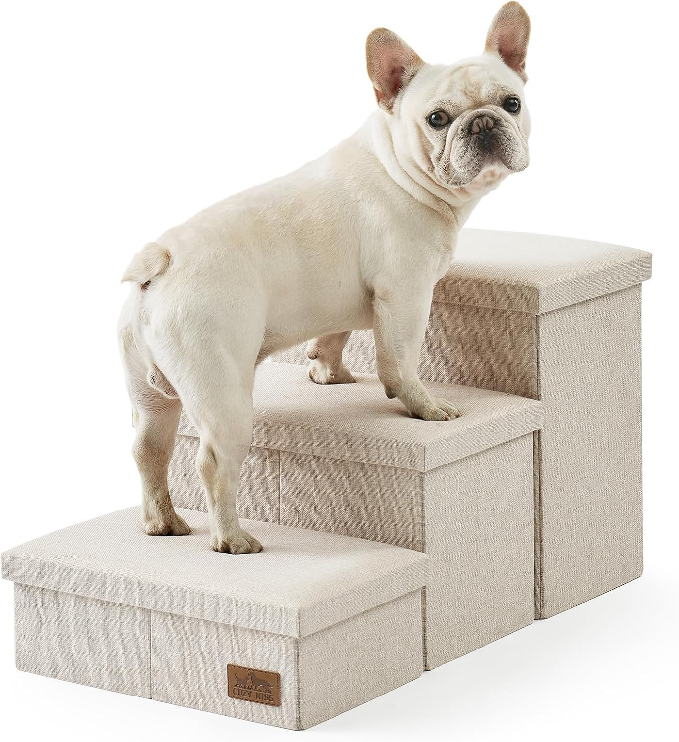 Scala Ergonomica per Cani Piccoli: Rampa Pieghevole Rinforzata