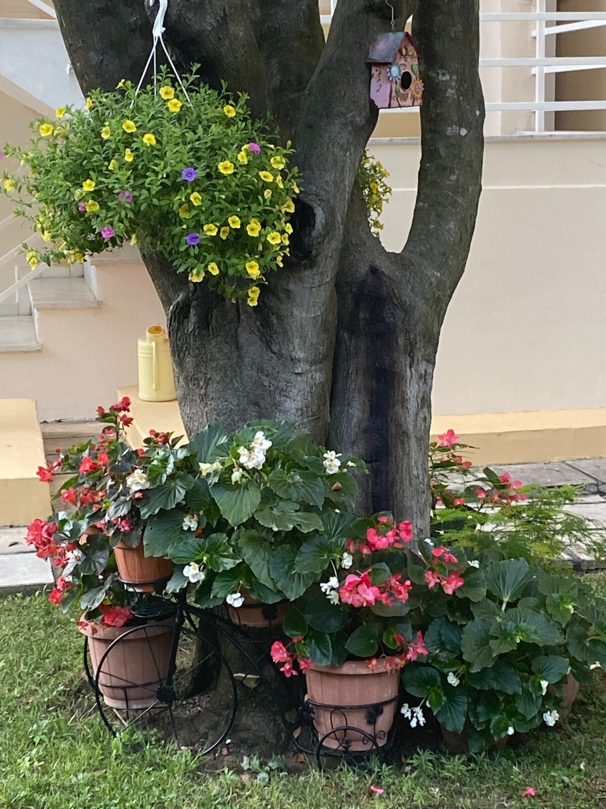 Picture Image Photo Wallpaper Background Beautiful Art # 449