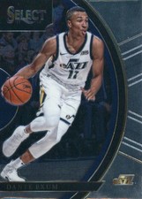 2017-18 Select #29 Dante Exum - BSK