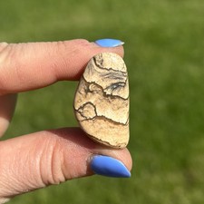 Picture Jasper Tumbled Stone - Natural Picture Jasper from Namibia