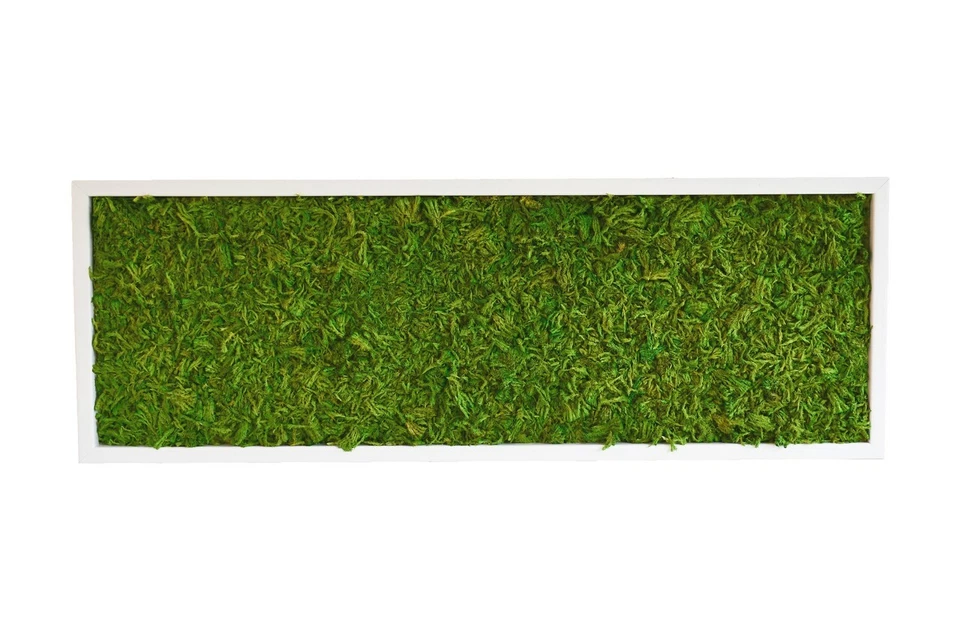 Moosbild, Wandbild mit Ostfrieslandmoos (ähnlich Islandmoos) Osterdekoration - Bild 2 von 4