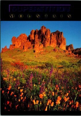 Superstition Mountain AZ Full View Postcard Unused (29641)