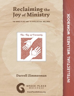 Reclaiming The Joy Of Ministry: The Grace Place Way To Intellectual Wellnes...