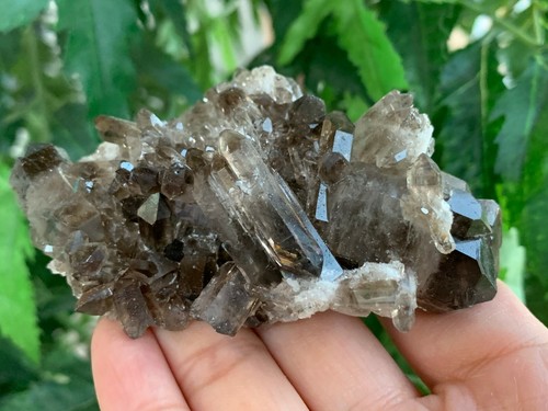 Grade A++ Smoky Quartz Cluster, 1.5-4 Inch Smoky Quartz Crystals, Pick A Size - Picture 3 of 12