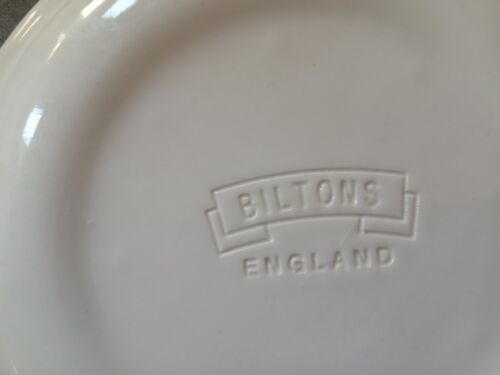 BILTONS COUNTRY LANE SIDE PLATES X 6 - Imagen 3 de 3