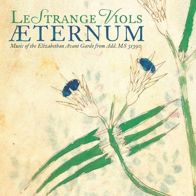 Berchem / Lestrange - Aeternum / Music of the Elizabethan [New CD]
