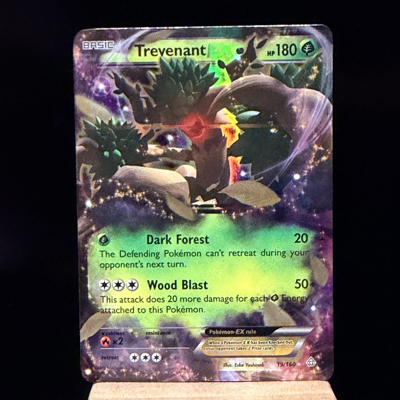 Trevenant EX 19/160 Pokemon Primal Clash Holo English LP