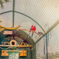 Vogel Spielzeug VogelkäFig Vogelspielzeug Papageienschwungspielzeug