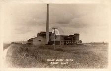 Sidney MT Montana 1924 Holly Sugar Factory Beet Farming RPPC Photo Postcard COPY