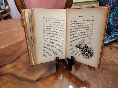 Sonnenstäubchen neue novellen German Hardcover 1902 - Picture 16 of 21