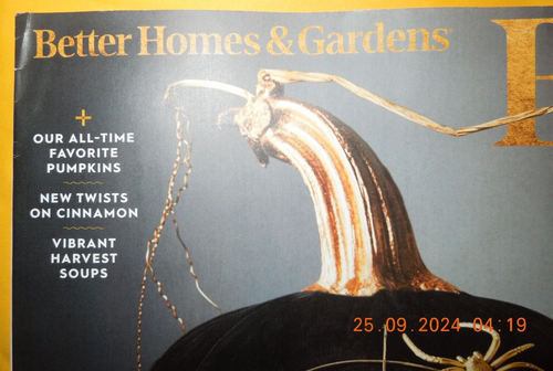 SPOOKY SEASON better homes & garden HALLOWEEN pumpkins HARVEST SOUPS - Picture 3 of 11