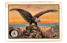 Eagle bird US wide advert vintage swap cards playing card singles