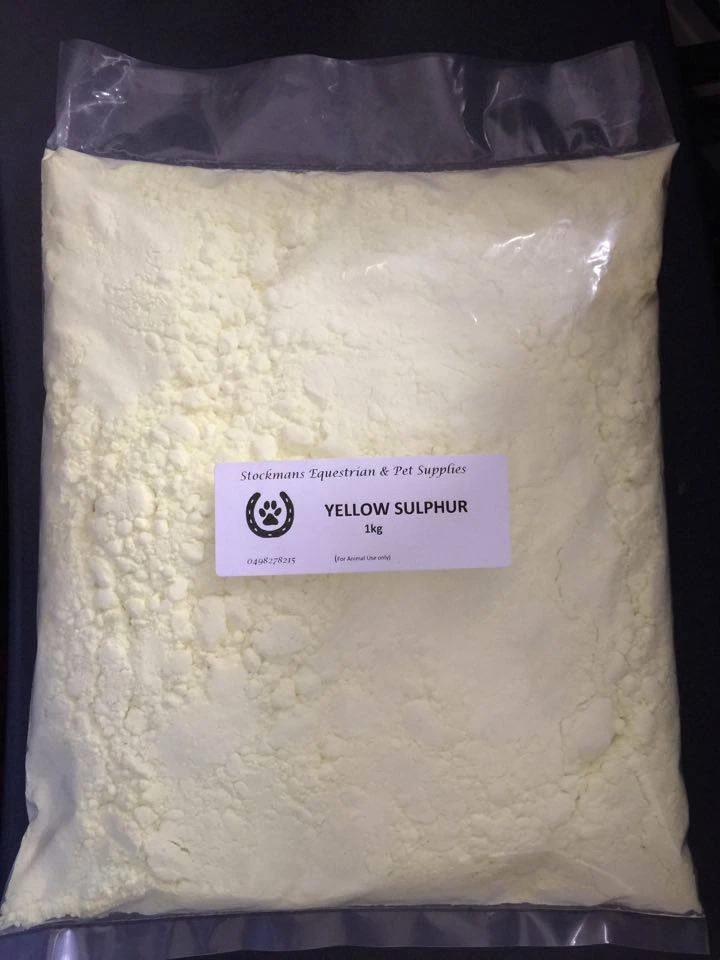 Yellow Sulphur Powder 1kg for Dogs and Horses eBay