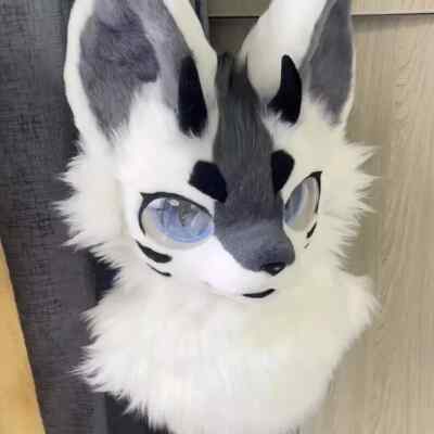 Fursuit Long Fur Husky Fox Mascot Head Party Halloween Fur Cosplay a2