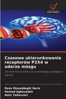 Czasowe Ukierunkowanie ReceptoróW P2X4 W Udarze MóZgu Hamed Aghazadeh