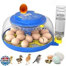 18 Egg Incubator with Automatic Egg Turning and Humidity Control, 360  Viewin