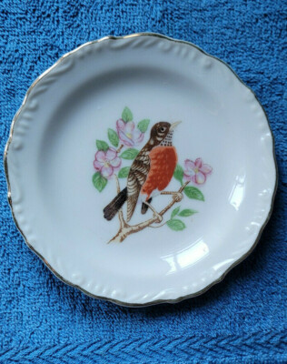 Vintage Japan China Robin Bird Collectible Plate Decorative Nice Pretty Birds
