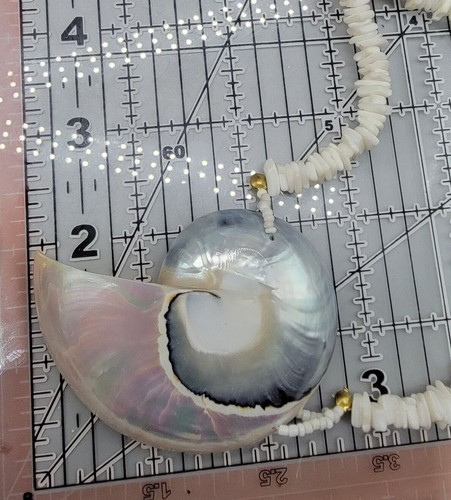 Large Snail Shell Pendant Necklace Shell Chunk Beach Summer Statement Chain 16" - Picture 11 of 11