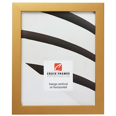 Craig Frames Confetti, Modern Gold Picture Frame Poster Frame