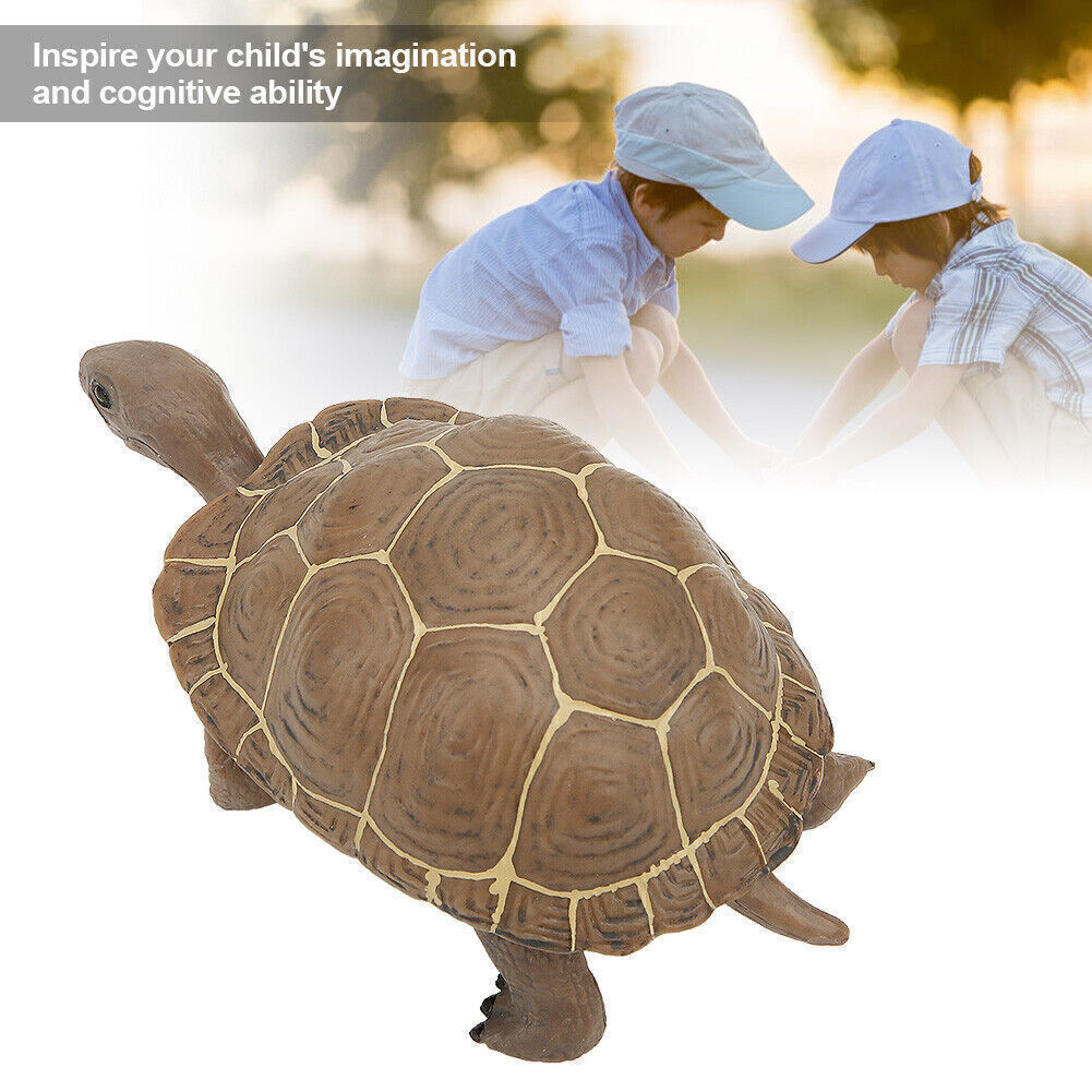 Vivid Animal Model Simulation Elephant Tortoise Toy Early Education Solid