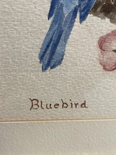Vintage Bluebird Watercolor Painting Signed McDavid Original Bird Art Framed - Picture 4 of 8
