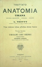 TRATTATO DI ANATOMIA UMANA VOL  2/PARTE QUARTA TESTUT