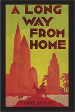 A Long Way From Home (Paperback or Softback)