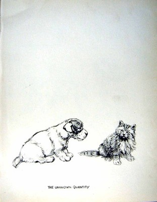 Original Old Vintage Print C1933 Dogs Sketch Barker Puppy Cat Magpie Harrows