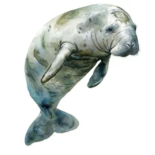 Manatee Sea Cow Sticker Labels (6) Card Gift Craft Paper DIY Journal