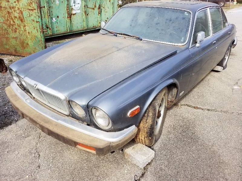 Parachoques del eje trasero | Se adapta a 81 82 83 84 85 86 87 Jaguar XJ6 XJ12 XJS Foto 3 de 4